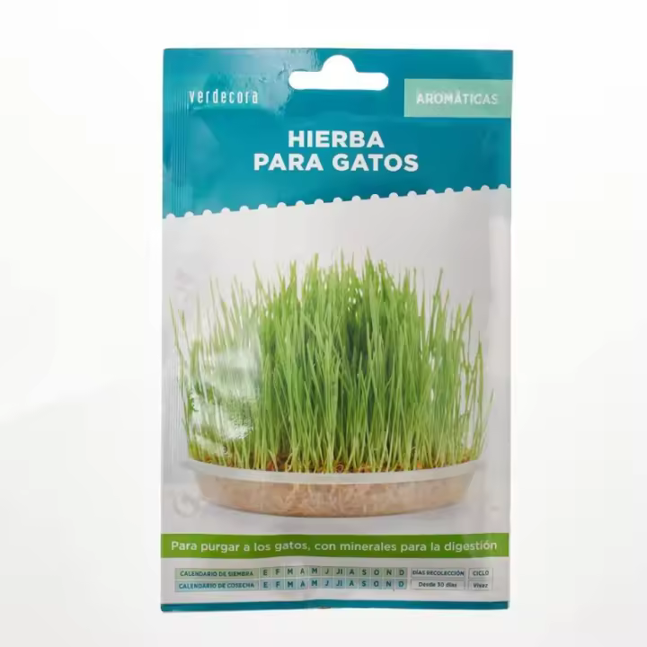 Verdecora SEMILLAS HIERBA PARA GATOS VERDECORA - 1