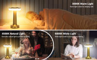 Lámpara De Mesa Retro LED Recargable Luz Nocturna Para Decoración De Habitación Sala De Estar Café Luces De Camping Iluminación De Escritorio - details 11