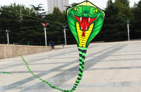 Palo De Sapo Con Caudal Colorido Largo Para Principiantes Kites Para Niños Y Adultos Incluye Cuerda Y Mango Material De Poliéster - details 2