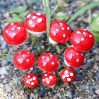 20Pcs Miniaturas De Setas Artificiales De Resina Para Jardín Faeérico Paisaje De Mostrador MicroLandscape Decoración De Terrario - details 4