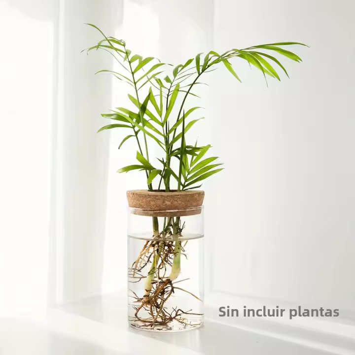1pc Vaso De Cristal Para Plantas De Esterilidad Decoración De Escritorio Estación De Propagación De Plantas Y Vaso Para Flores - 1