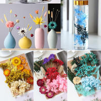 Set De Flores Artificiales Y Velas De Epoxy Preservadas Hydrangea Para Decoración De Hogar 1 Pack Plantas Artificiales Y Flores Reales Secas Materiales De Poliéster Para Aniversarios Bodas Y Fiesta De Hogar - details 7