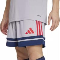 Pantalón Corto Entrenamiento Men Adidas Squa25 V25 Gris Adpomv2501Ad - details 0