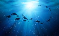 Linterna De Buceo Paweinuo IP8 Con Zoom Telescópico Más Alto Resistencia Al Agua Luz LED T6 Fuente De Poder 18650 Batería Con Cuerda En La Mano - details 13