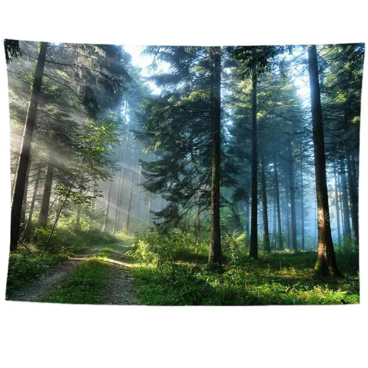 Home Decoration Balcony Curtain, Fashion Window Curtain, Forest Sunlight Printing Nature Scenery for Living Room Kitchen(150 * 166cm) - 1