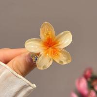 Pinza Para El Cabello De Tamaño Pequeño Con Diseño De Flores Y Gradientes Accesorio De Moda Para Mujeres Barra De Lazos De Plástico Para Decorar El Cabello - details 6