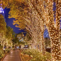 Luz De Cadena Solar LED De 3M 22M Con 8 Modos Impermeable Para Decoración De Jardín Navidad Bodas Fiestas Y Año Nuevo - details 2