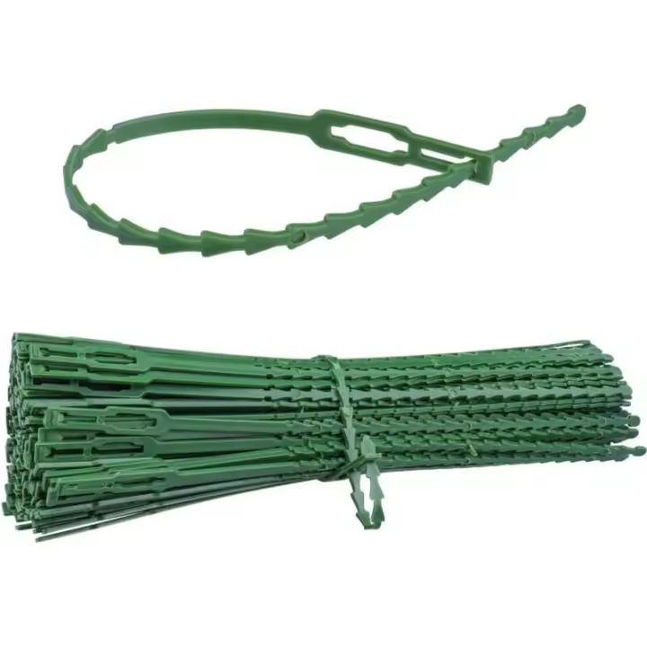CA Sollbry - 150 bridas ajustables para plantas de jardinería (230 mm), de plástico reutilizables, para sujetar vides, tomates, arbustos y plantas (verde) - 1