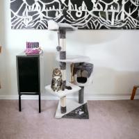 COTTECOTA-Árbol rascador para Gatos Altura 60*56.5*111.5cm Árbol para Gatos Azul Marrón Beige Torre Arbol de Escalada de Múltiples Niveles con Cueva Espaciosa Postes Rascadores de Sisal 40452,40438 - details 12