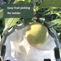1pc Herramienta De Recogida De Frutas Metálica Cepillo De Manzanas Con Cesta Accesorio De Recogida De Frutas Para Jardín Herramienta De Jardinería - details 5