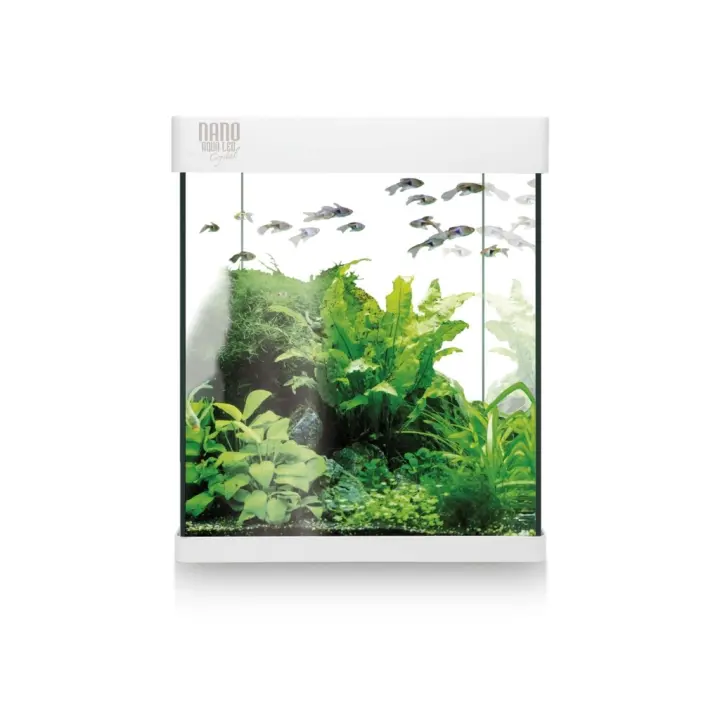 ICA - Kit Nano Aqualed 10 (10 Litros) - Kit Completo con Acuario de Cristal para Agua Dulce - 1