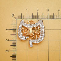 Broche De Anatomía Intestinal Hanreshe Para Médicos Y Enfermeras Regalo De Colección De Joyería Metal Unisex - details 4