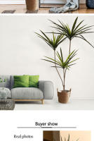 Planta Artificial De Dracaena Tropical Grande 90-120 Cm En Maceta Hojas De Palmera Falsas Para Decoración De Interiores Y Jardín - details 8