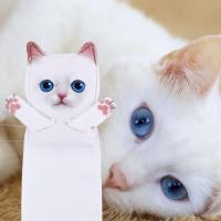 Divertidos Gatos Toalla de Mano-Decoración Gato Toalla Colgantes para Baño Trapos de Cocina-Animal Absorbente Suave Toallas-Regalos Graciosos para Originales Mujer Amantes de Los Gatos - details 1