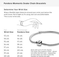 Pulsera Pandora Plata Moments Iconica - Plata de Primera Ley S925 (Se recomienda que consultes Nuestro tamaño para elegir el tamaño ajustado para ti.) - details 0