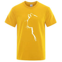 Camiseta De Algodón Unisex Con Estampado De Gato Divertido Y Cool Camiseta De Manga Corta Oversized Y Suelta Para Hombre Y Mujer Estilo Y2K Streetwear - details 5