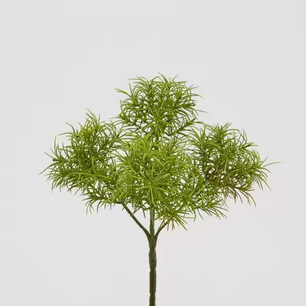 EDG Enzo De Gasperi Tillandsia Bell Pick H30 C0 Verde - 1