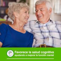 Soria Natural-PACK 2 EXTRACTO GINKGO BILOBA 50ml+50ml-sistema cognitivo- cerebro y memoria - details 3