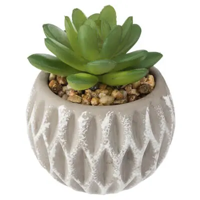 Factory Cuadros Suculenta Artificial Maceta de Cemento H9cm - Decoración Moderna - 1