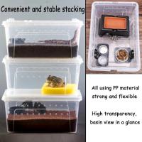 Caja De Cría De Reptiles Transparente Terrario Para Tortugas Geckos Sapos Transporte De Animales Habitaci\u00f3n Plástico - details 1