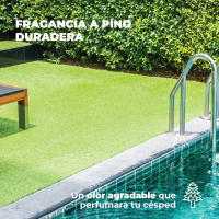 LUCCY Higienizador Césped Artificial Limpiador para Césped Artificial Triple Acción, Higienizador Concentrado, Control de Olores - details 2