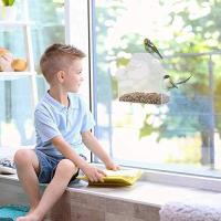 Comedero para Pájaros transparente para Ventanas-Utenu Ventana: Alimenta tus Pájaros con Estilo. - details 4