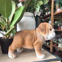 LILI HOME 🐶 Figuras de Perros de 🐾 Bulldog Inglés, 🐾 Bulldog Francés, 🐾 Dachshund (Salchicha) y 🐾 Jack Russell Terrier. Fabricadas en resina de alta calidad, resistente a golpes y al desgaste. 22 x 12 x 17 cm aproximadamente - details 6