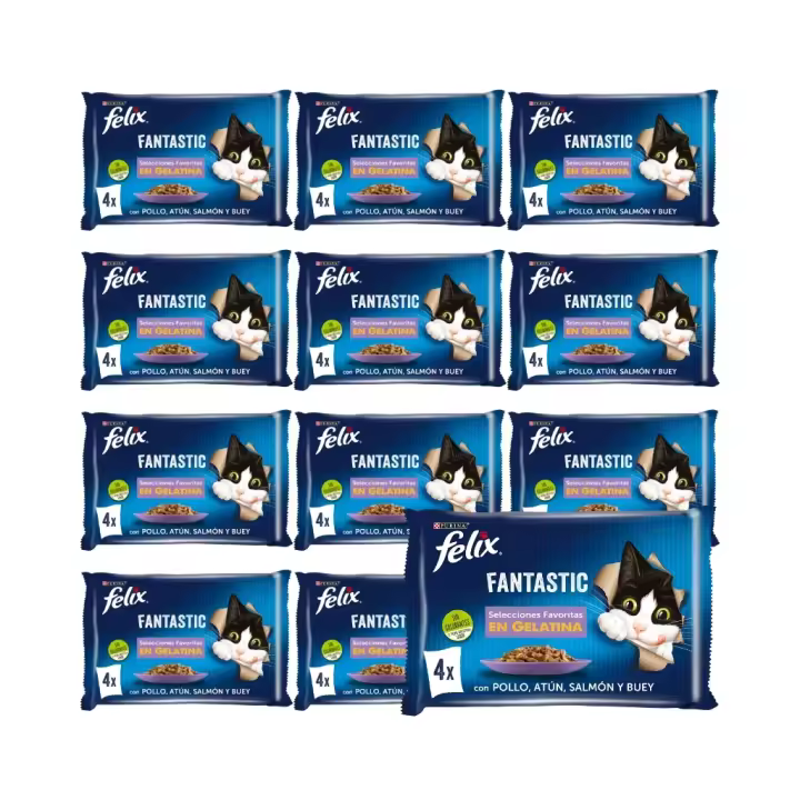 FELIX - Fantastic Gelatina (48x85 gr) - Comida Húmeda Selecciones Favoritas (Pollo, Salmón, Atún y Buey) (12x4x85 gr) - 1
