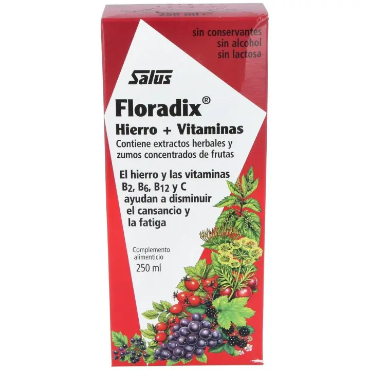 Floradix Elixir, 250 Ml - 1