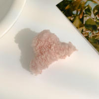 Mini Pinza De Pelo De Peluche Nueva Para Mujeres Y Niñas Estilo Temperamento Diverso Tamaño Pequeño Accesorios De Cabello De Veludo De Oveja Lindo Y Decorativo - details 14