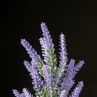 Plantas Artificiales De Lavanda 36/45cm Flores De Plástico Realistas Para Decoración De Bodas Y Oficina Color Morado - details 4