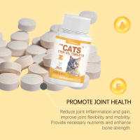 Comprimidos de Aceite de Pescado Multivitamínicos para Gatos (Cuidado integral para piel, pelaje y salud general) - details 9