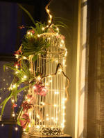 Luces De Cadena LED DC12V Flexibles De Hierro Prensa Para Decoración De Calle Navidad Fiesta Festival Estrella Luz Fairy Starry - details 6