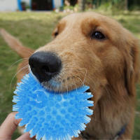 Juguetes Para Perros Pequeños Y Medianos 3Pcs Bola Masticable De Espina Suave TPR Con Sonido Squeaky Flotante Para Piscina Juguete Para Arrojar Y Buscar - details 3