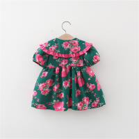 Vestido De Princesa Para Niñas Estilo Coreano Verano Vestido De Tule Fresco Con Estampado Largo Hasta La Rodilla Para Bebés De 0 a 1 Año - details 3