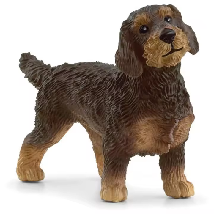 Figura de perro Teckel de pelo duro para coleccionar de Schleich 13972 - 1