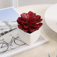 Mini Plantas Artificiales De Suculentas En Blanco Bonsái Set De 6 Piezas Para Decoración De Escritorio Y Ventana Interior - details 4