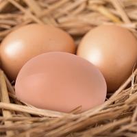 6pcs Huevos De Plástico Para Casa De Pollo Pequeños Accesorios Para Jaulas De Animales De Granja Suministros De Cerdos Y Peces - details 7