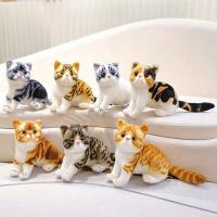 Muñeco De Peluche Realista Gato American Shorthair Simulación Juguete De Gato Bonito Decoración Para El Hogar Regalo Para Mascotas - details 4