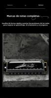 Harmonica Blues De 10 Agujeros En Clave C Con Estuche Diatónica Para Jugador Profesional Principiante Estudiantes Regalos Para Adultos - details 3
