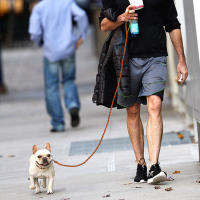 Correa De Cuero Ganchada Para Perros Pequeños Y Medianos Tejida En Nudo Color Marrón 4 Pies Para Caminar Y Jóvenes Gatos - details 12