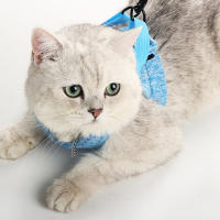 Almohadilla De Gato Para Caminar Prueba De Fuga Suave Ajustable Correa De Perro Y Collar Para Mascotas Ligero Y Resistente - details 7