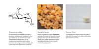EPAPLUS Arthicare - Huesos Colágeno - Calcio Polvo - sabor Vainilla - details 2