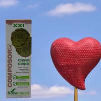 Colesten Complex, Composor 26 Soria Natural, Colesterol y triglicéridos, salud cardiovascular, Colesterol HDL y LDL - details 2