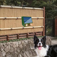 Dispositivo Repelente Ultrasonido Para Gatos Y Perros Impermeable Y Solar Poderado 500mAh Para Jardines Y Céspedes Exteriores - details 5