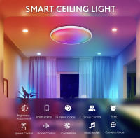 BEL AIR HOME - Lámpara Plafón RGB LED de 30W con Control de APP Compatible con Amazon Alexa y Google Assistant, Diámetro 30cm - details 6