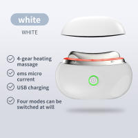 ErthSkin London TERAPIA DE LIFTING FACIAL CON GUA SHA LED - details 2