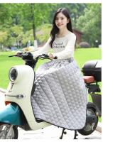 Protector De Rodillas Para Motocicleta Impermeable Y Térmico Para Hombres Y Mujeres Cubierta De Algodón Universal Para Invierno - details 6
