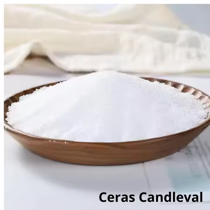 Candleval Acido esteárico Estearina para fabricar todo tipo de velas  100% vegetal fabricada en España - 1