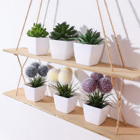 1SET De 6PC Mini Plantas Artificiales Bonsái Para Decoración De Hogar Oficina Restaurante Tienda Escritorio Estante - details 14